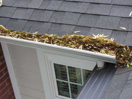 Gutter Cleaning